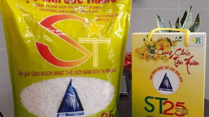 Gạo ST25 có thể bị mất thương hiệu trên quốc tế