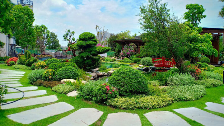 Hướng dẫn 6 cách bố trí cây cảnh sân vườn theo phong thủy