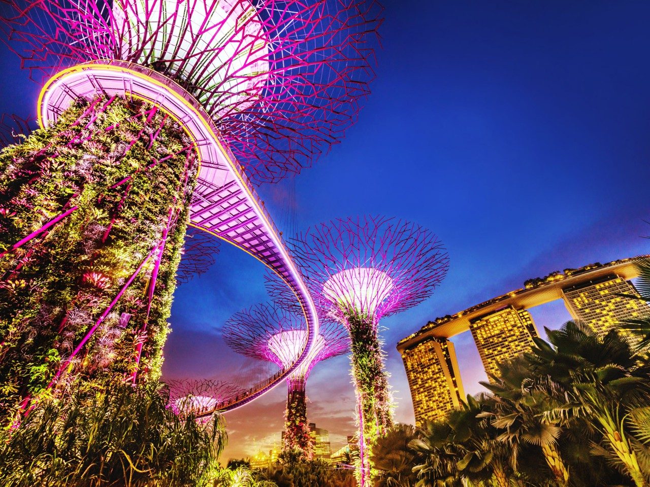 Nhà đầu tư cố gắng khai thác thị trường tài chính xanh đang phát triển mạnh mẽ tại Singapore