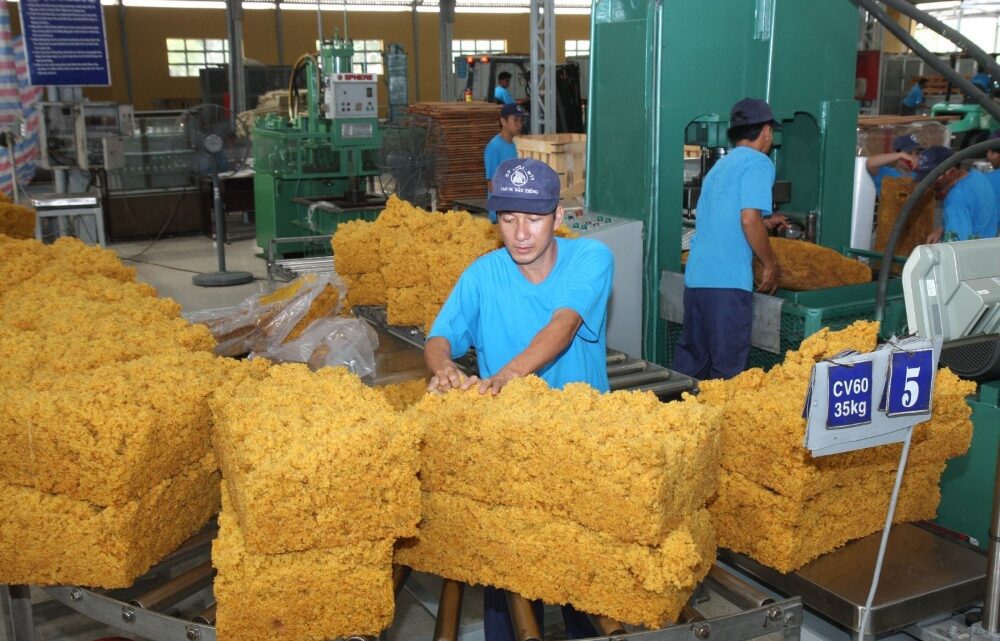 Nông sản Việt Nam đạt kim ngạch xuất khẩu lớn